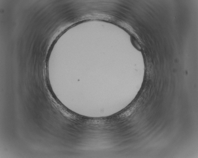 X0000067831040200605111612