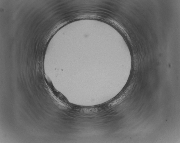 X0000067831041200605111612