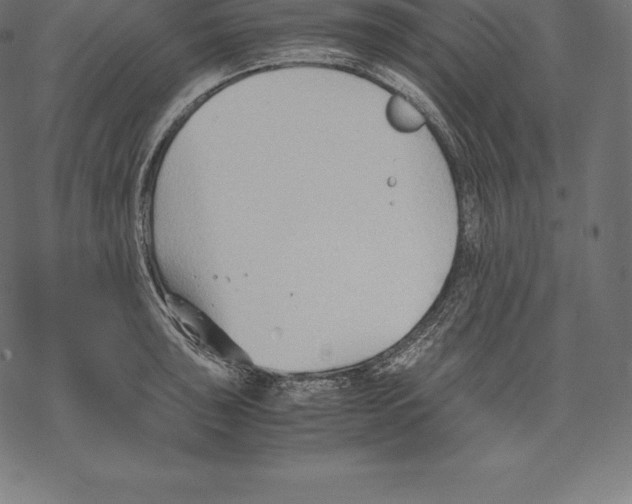 X0000067831043200605111612