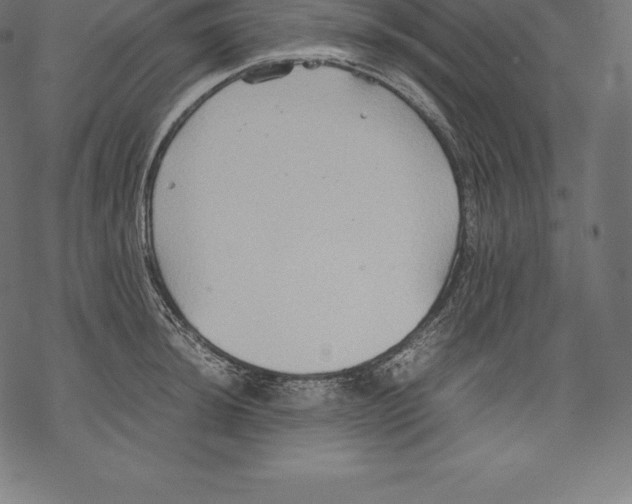 X0000067831044200605111612