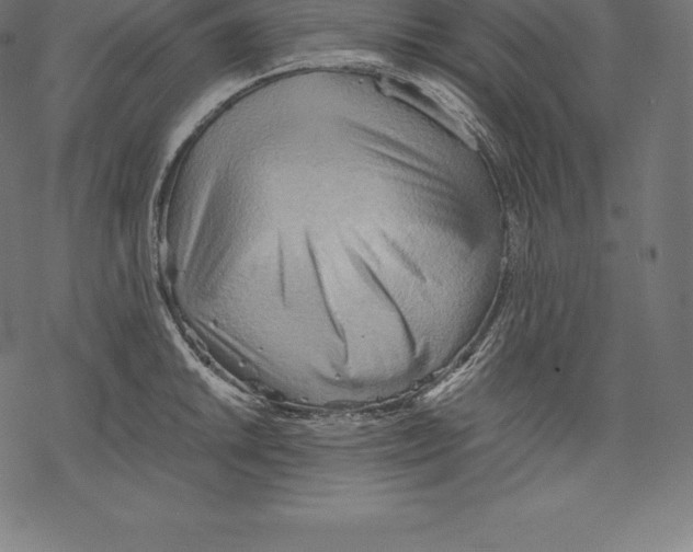 X0000067831046200605111612