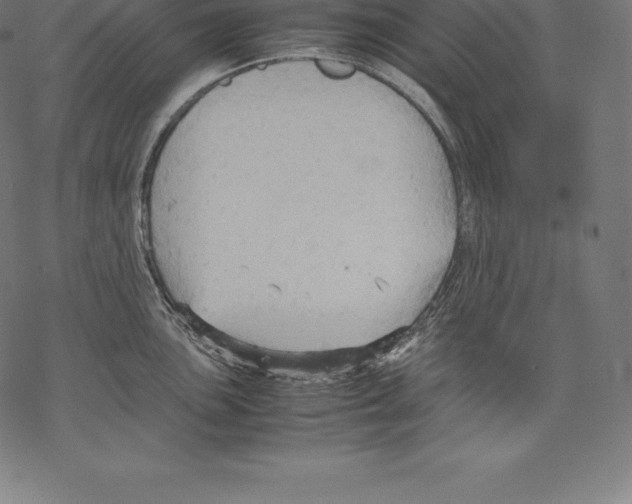 X0000067831051200605111612