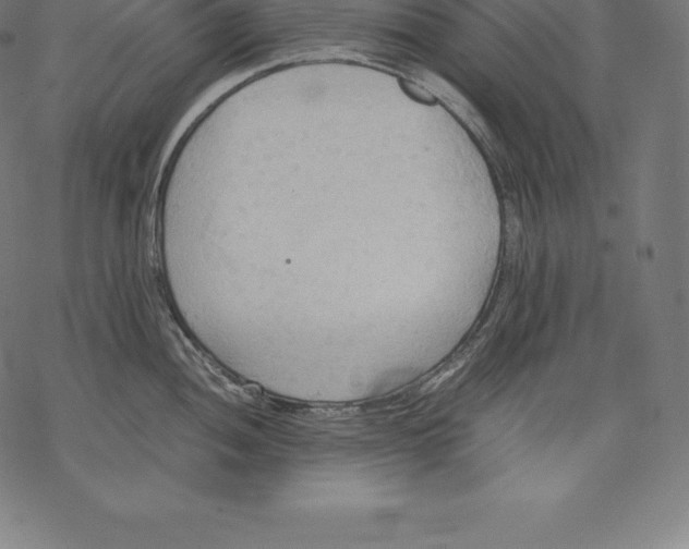 X0000067831052200605111612