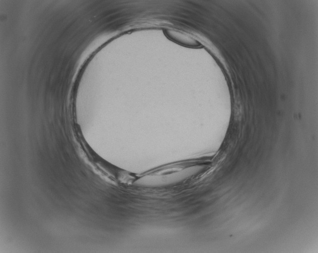 X0000067831053200605111612