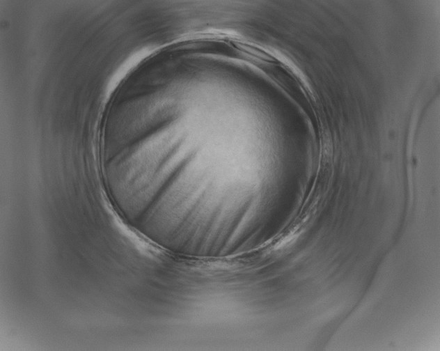 X0000067831054200605111612