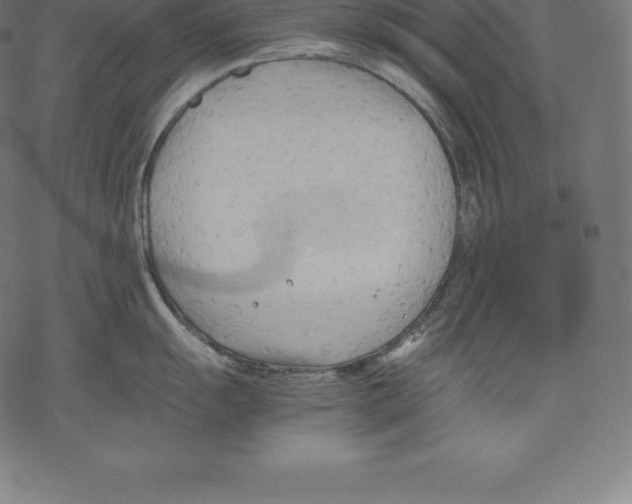 X0000067831055200605111612