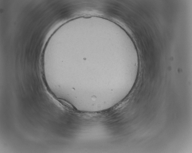 X0000067831056200605111612