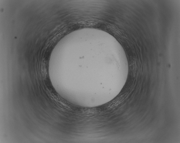 X0000067831058200605111611