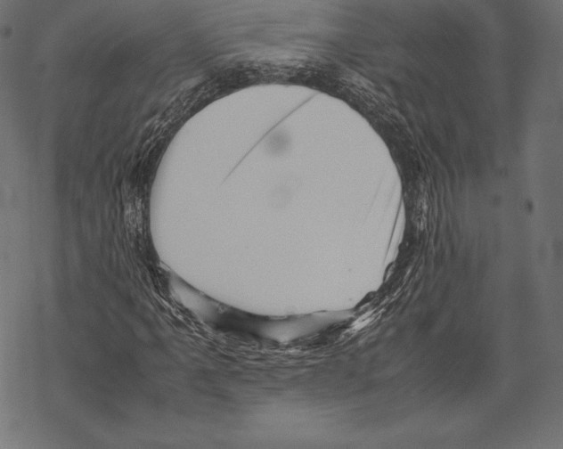 X0000067831061200605111611