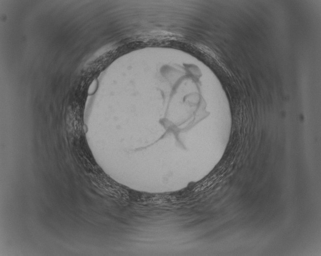 X0000067831063200605111611