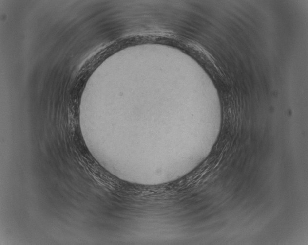 X0000067831064200605111611