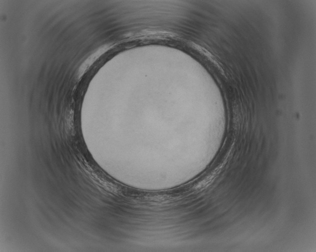 X0000067831066200605111611