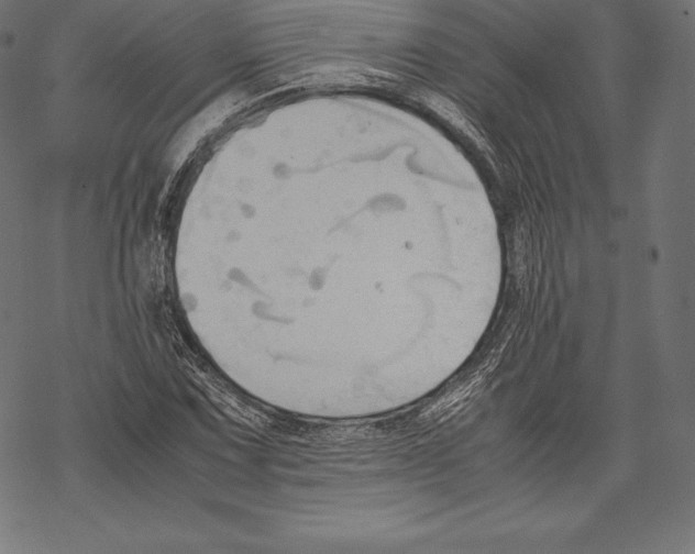 X0000067831067200605111611