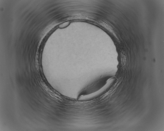 X0000067831068200605111611