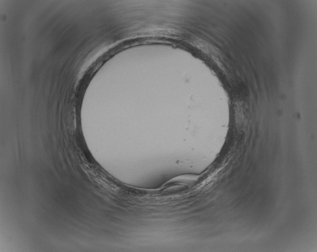 X0000067831069200605111611