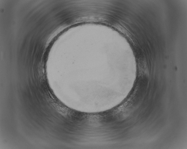 X0000067831070200605111611