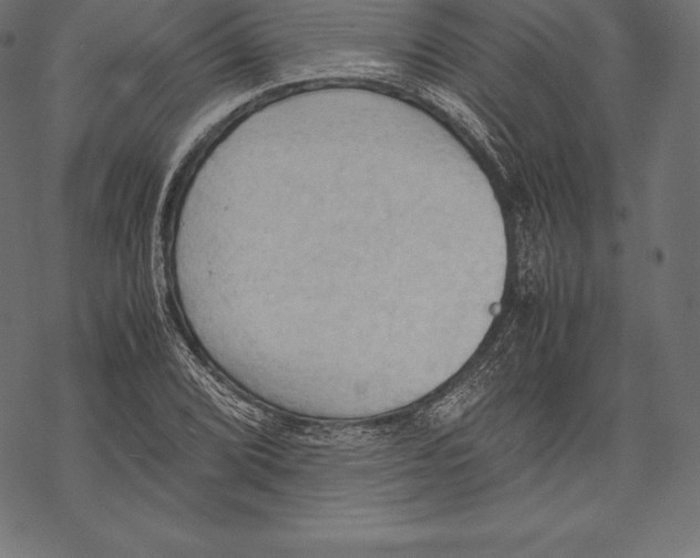 X0000067831072200605111611