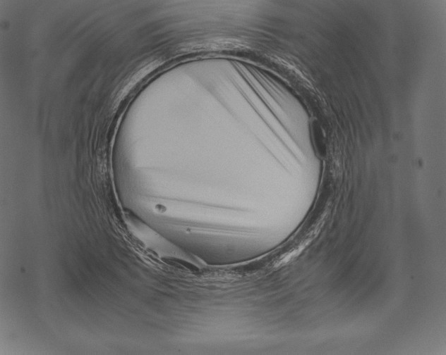 X0000067831073200605111611