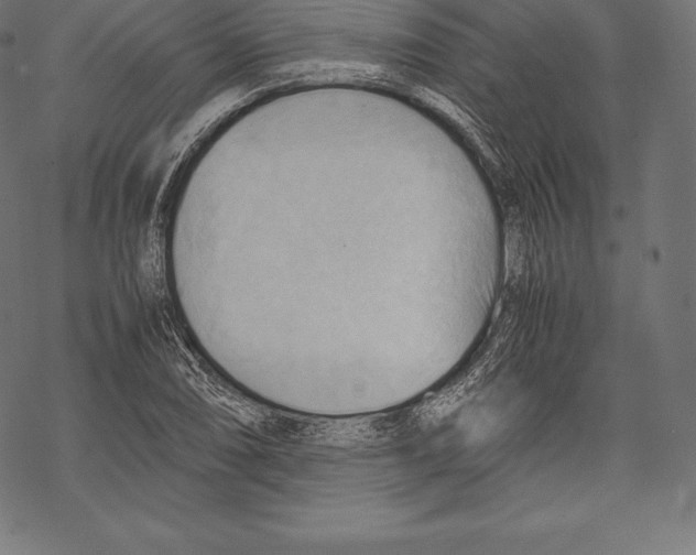 X0000067831074200605111611