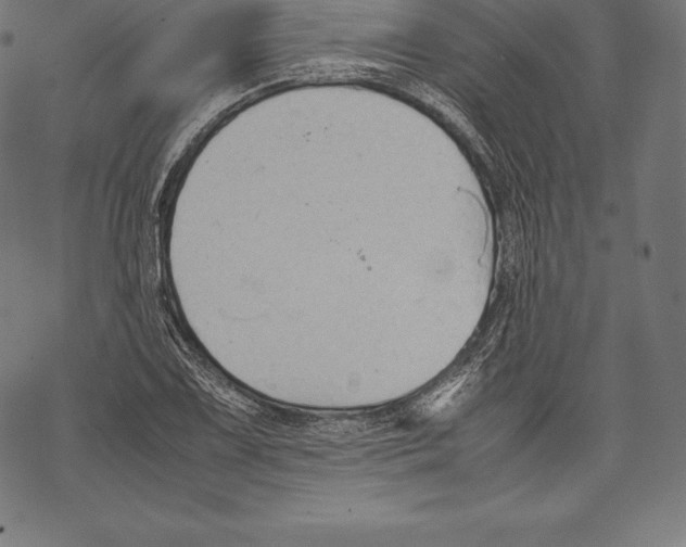 X0000067831075200605111611