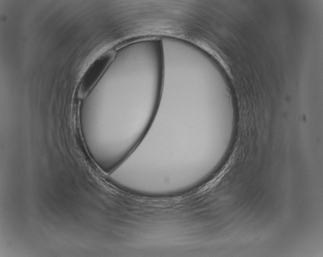 X0000067831077200605111611