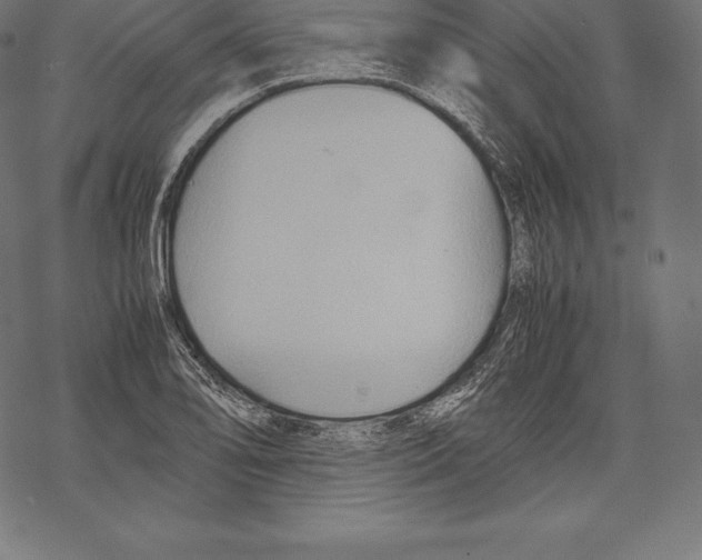 X0000067831078200605111611