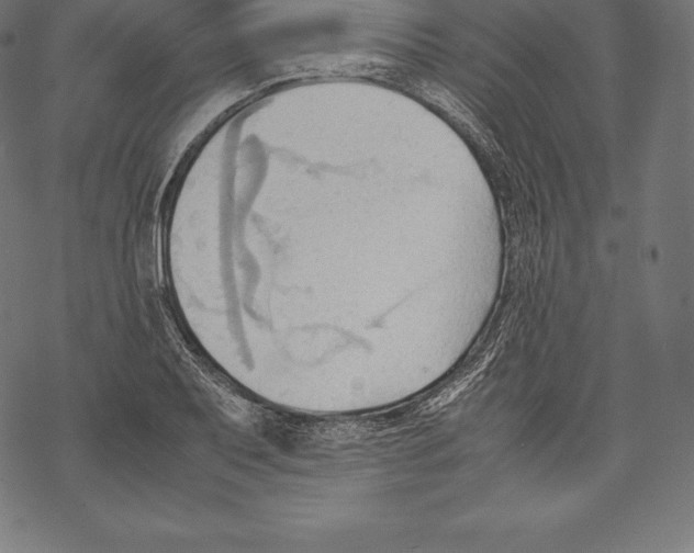 X0000067831079200605111611