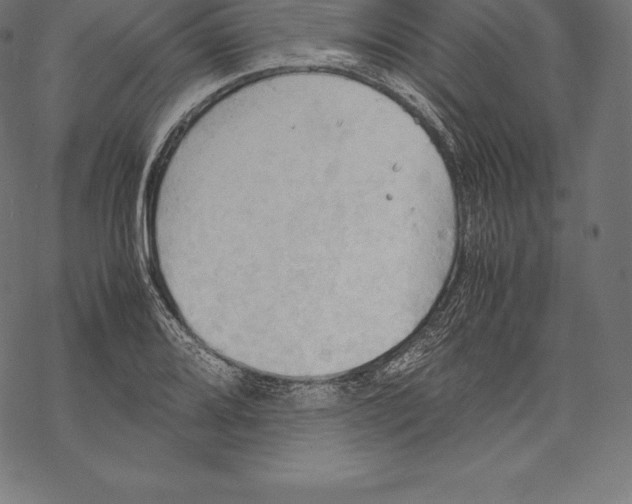 X0000067831080200605111611