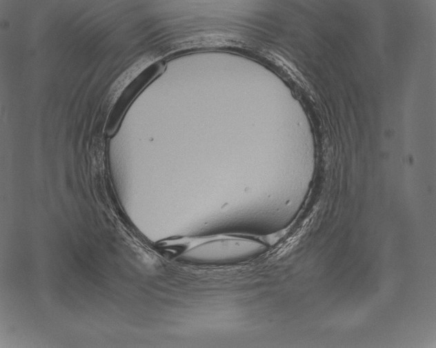 X0000067831081200605111611