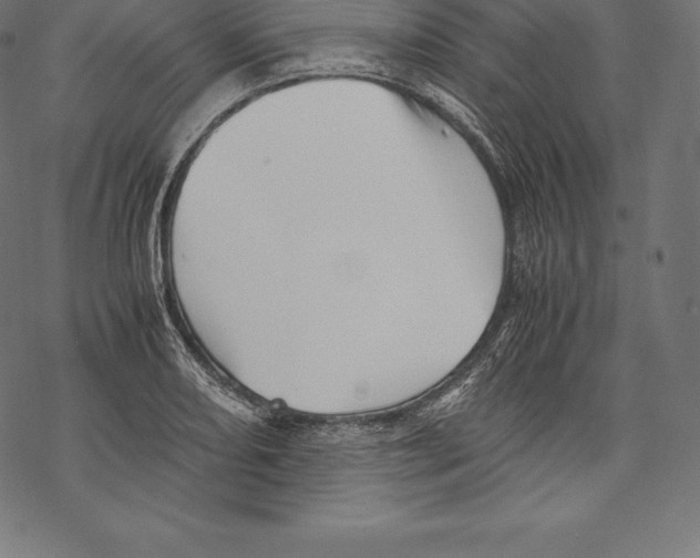 X0000067831082200605111611