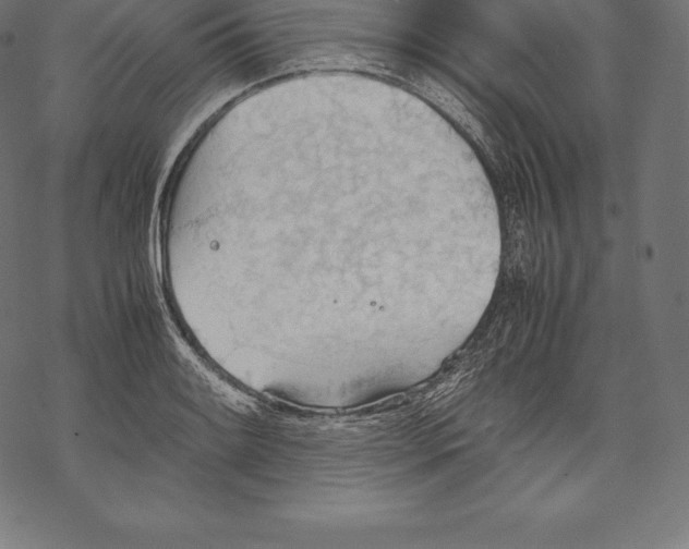 X0000067831084200605111611