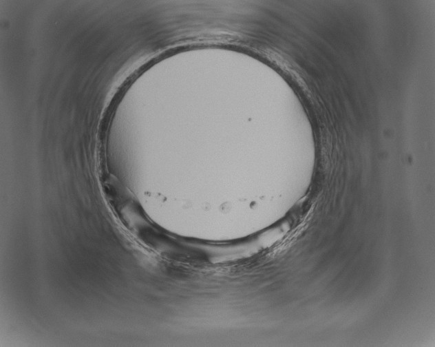 X0000067831085200605111611