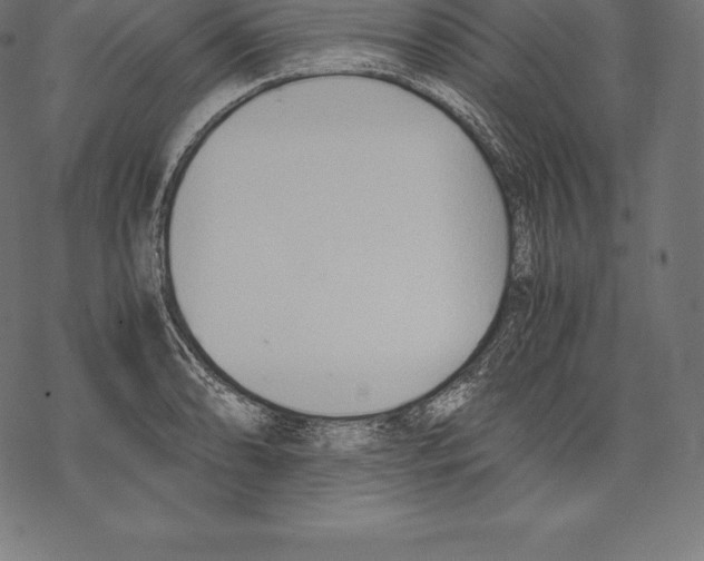 X0000067831086200605111611