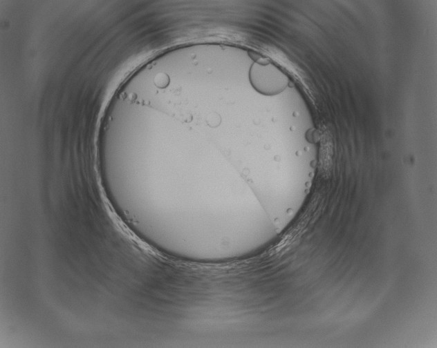 X0000067831088200605111611