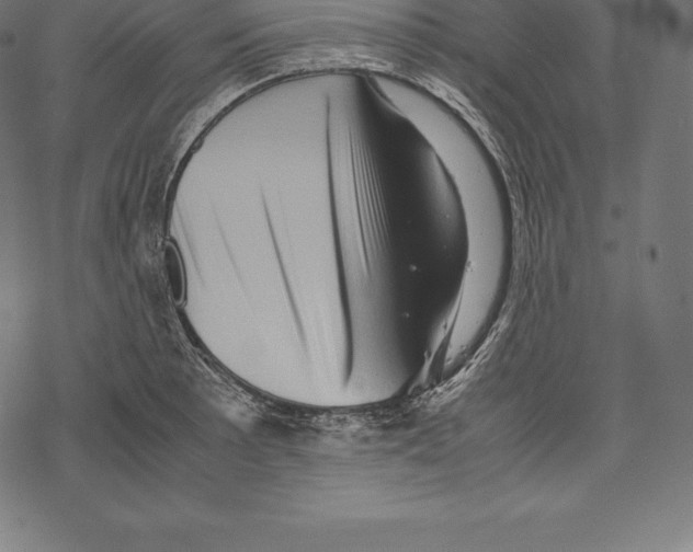 X0000067831089200605111611