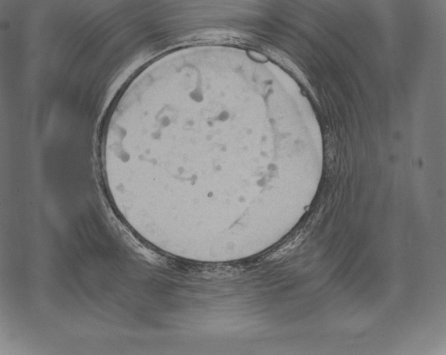 X0000067831091200605111611