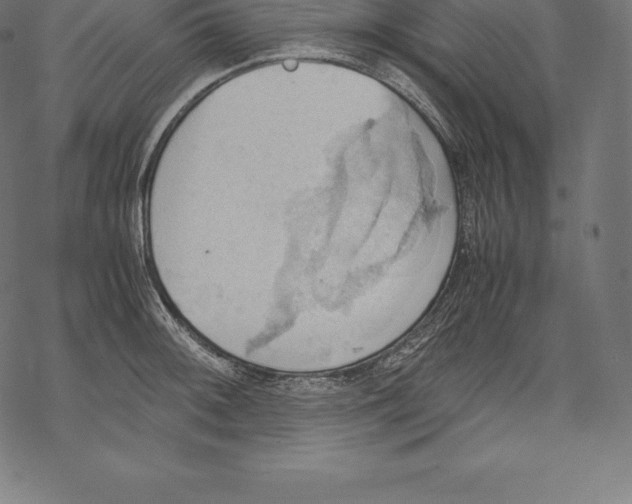 X0000067831092200605111611