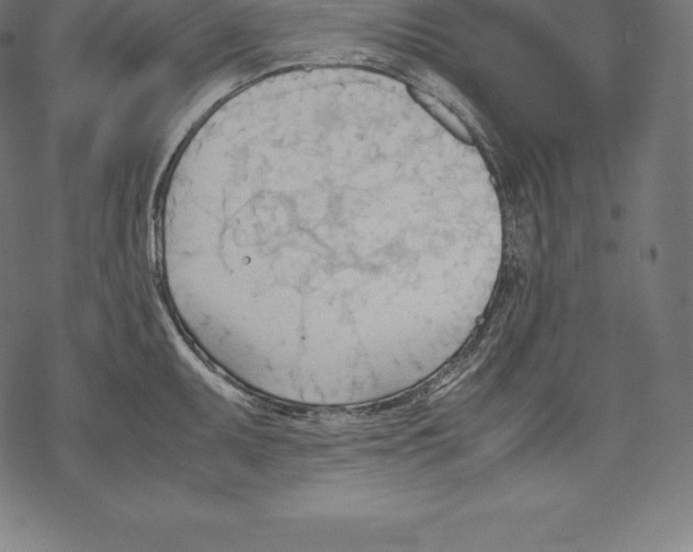 X0000067831095200605111611