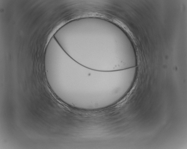 X0000067831097200605111611