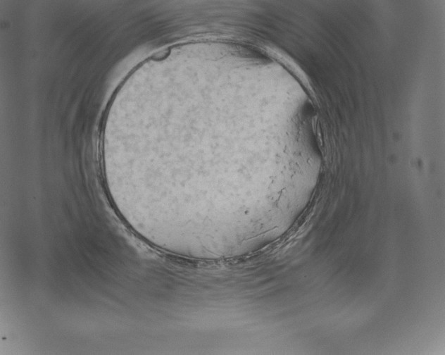 X0000067831099200605111611