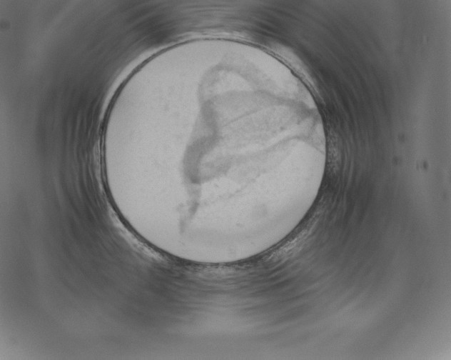 X0000067831100200605111610