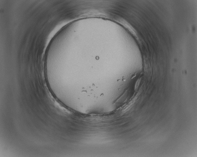 X0000067831102200605111610