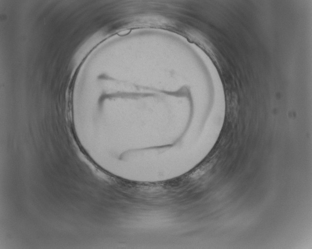 X0000067831103200605111610