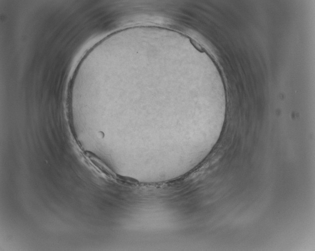 X0000067831104200605111610