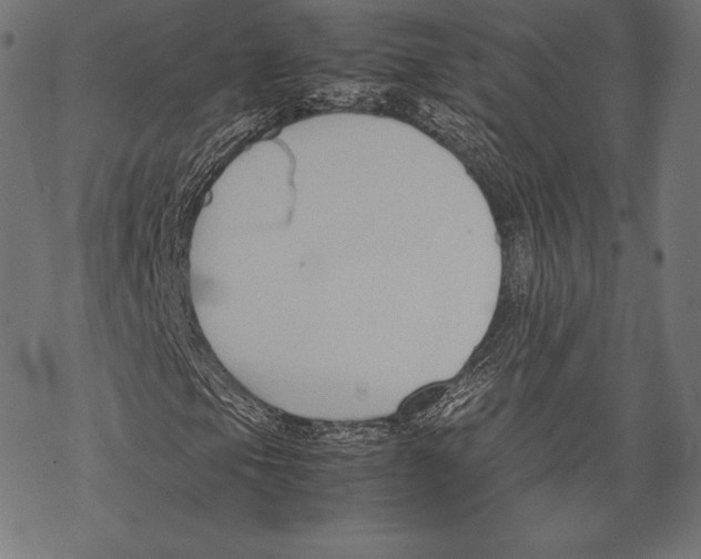 X0000067831105200605111610