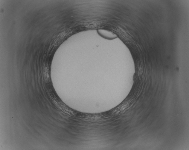 X0000067831106200605111610