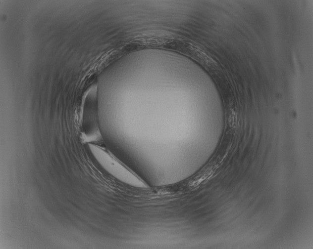 X0000067831108200605111610