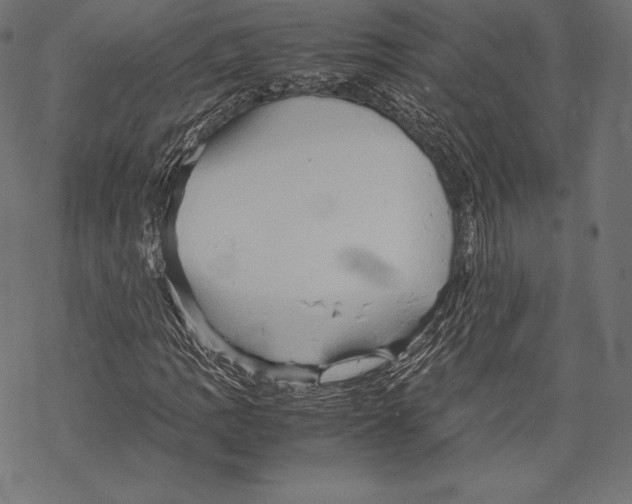 X0000067831109200605111610