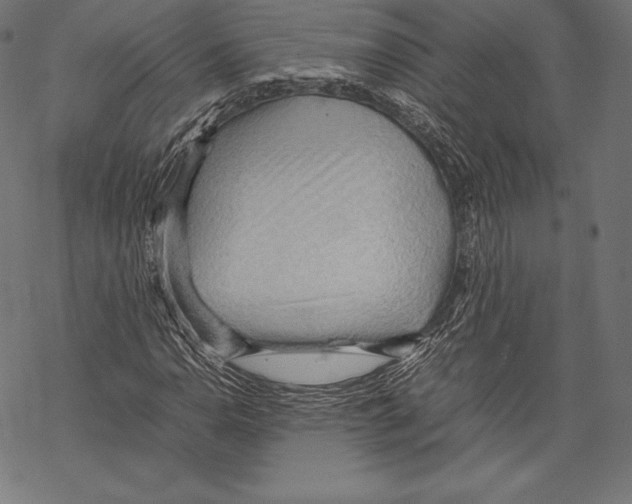 X0000067831110200605111610