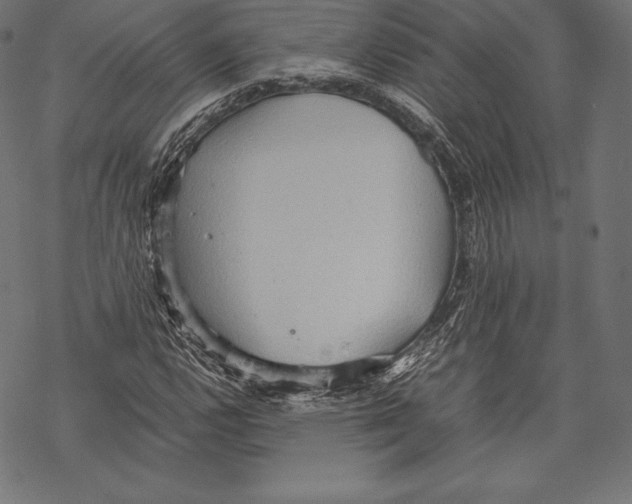 X0000067831112200605111610